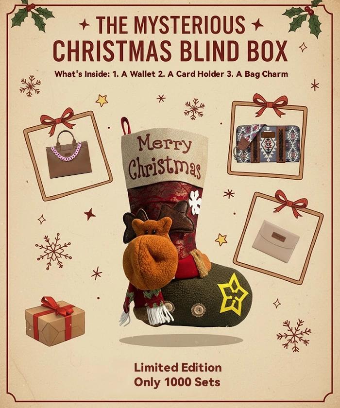 Montana West Christmas mystery bag
