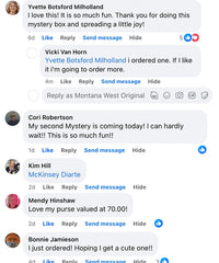 Mystery Box - Western Style Bag