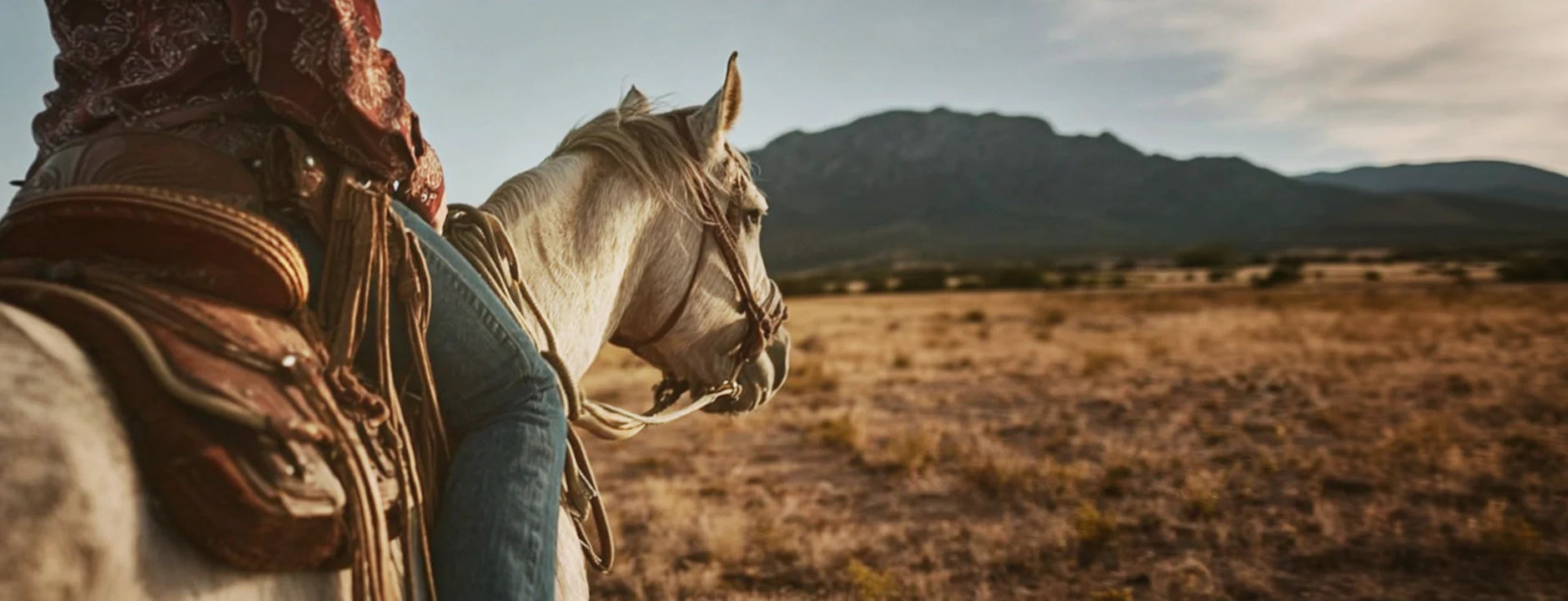 Western Cowboy Boots - Timeless Western Style for 2025